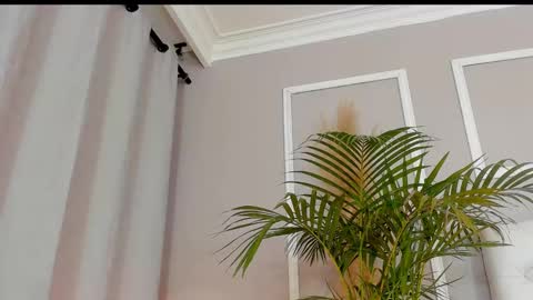 scarlet hill online show from 28, 2, 2025