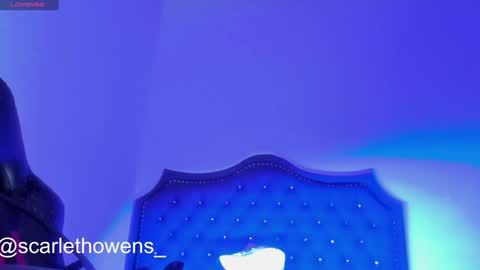    online show from 29, 12, 2024