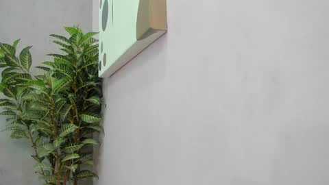 Scarlett 3 online show from 2, 12, 2025