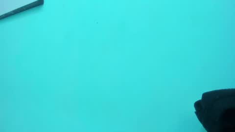 Snapshot of scarlett_fox20 chatting on 13, 5, 2026 scarlett_fox20 online show from 13, 5, 2026