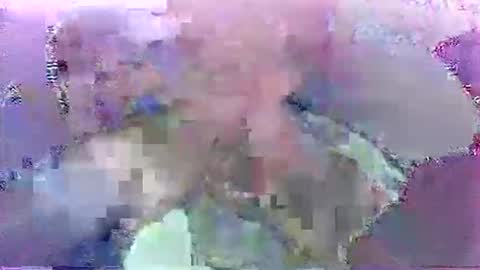 Snapshot of scoobydueingu69 chatting on 30, 11, 2025 scoobydueingu69 online show from 30, 11, 2025