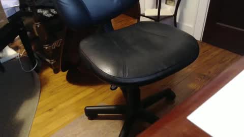 scottbearfun online show from 4, 1, 2025