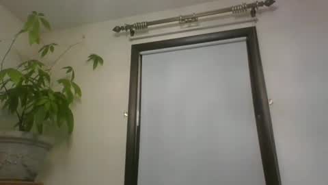 scottpbi52 online show from 22, 12, 2024