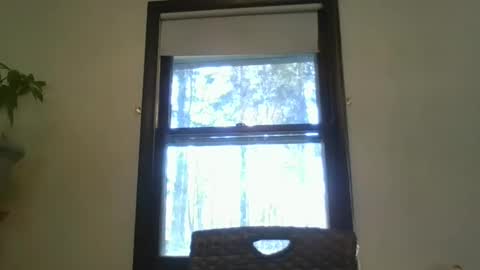 scottpbi52 online show from 7, 2, 2025