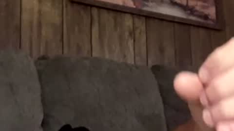 scottpolars online show from 19, 4, 2026