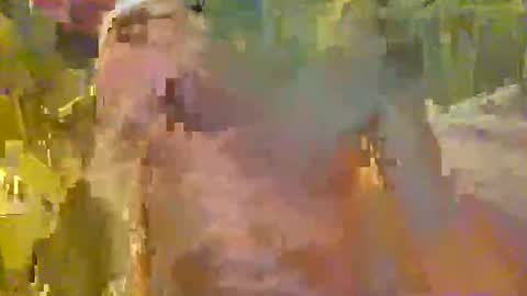 scoutiii online show from 21, 11, 2025