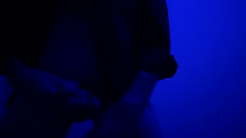 Snapshot of seanlydo chatting on 13, 10, 2025 SeanWadGodDamn online show from 13, 10, 2025