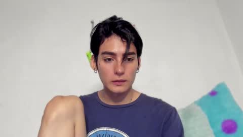 sebastian online show from 11, 12, 2024