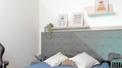 SEBAS online show from 13, 2, 2026