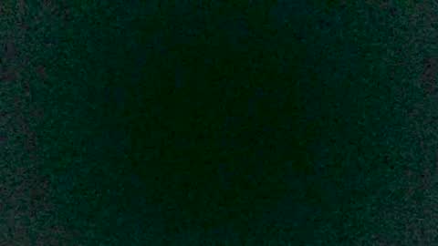 Sunny online show from 12, 3, 2025