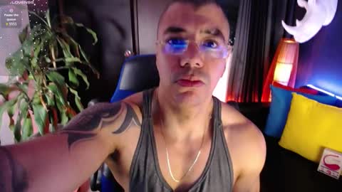 sed online show from 6, 11, 2025