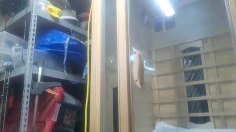 Seeker online show from 26, 10, 2025