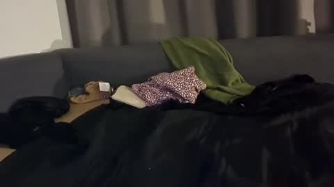 Snapshot of selfiepicdump chatting on 3, 1, 2025 Julian Kinky Bi-guy online show from 3, 1, 2025