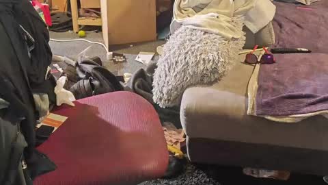 BiG DicK online show from 8, 4, 2026