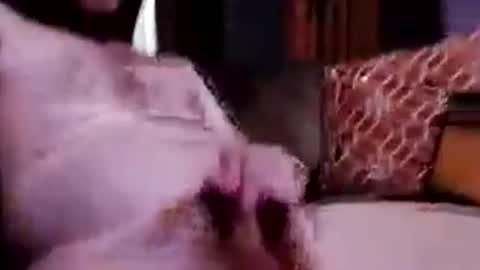 Chris my ass online show from 26, 6, 2026