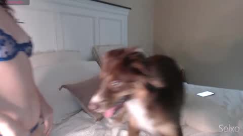 Sel online show from 23, 9, 2025