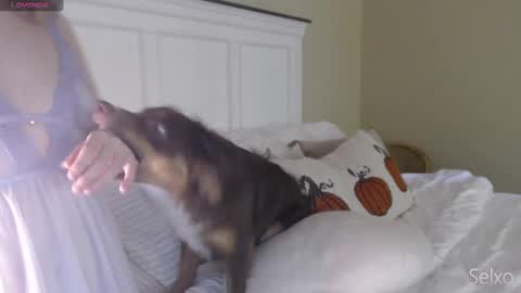 Sel online show from 20, 10, 2025