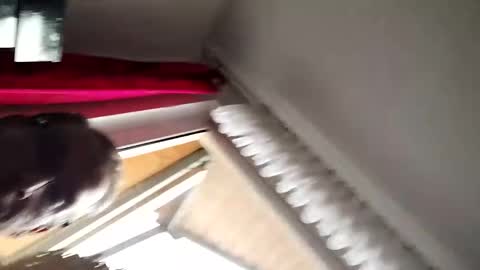 senda82 online show from 1, 1, 2025