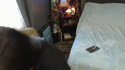 Snapshot of sentfrmheaven chatting on 2, 2, 2025 Tara online show from 2, 2, 2025