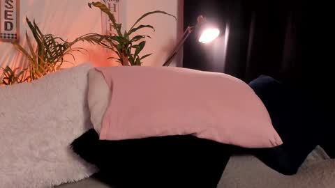 Serenity online show from 29, 1, 2025