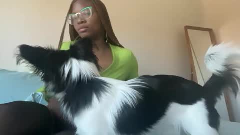 Serenity Bee   online show from 18, 11, 2025