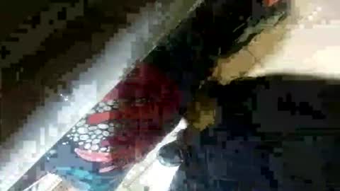 seus1149 online show from 23, 7, 2026