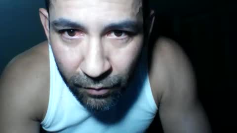 seuus2026 online show from 2, 4, 2026