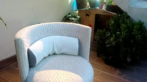 SeXander online show from 24, 6, 2026