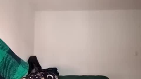 Verona online show from 15, 9, 2025