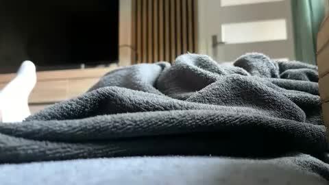 Anna online show from 26, 4, 2026