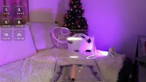 Lina online show from 15, 12, 2024