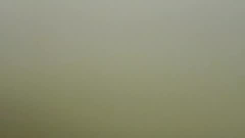 sexy_esther92 online show from 19, 1, 2026