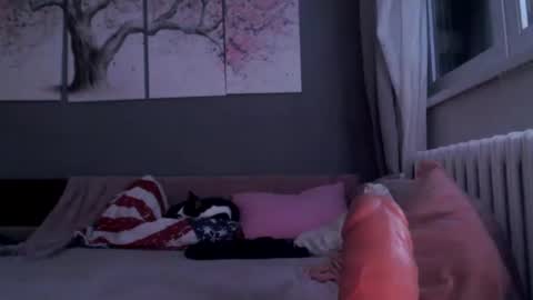 Snapshot of sexyella25 chatting on 29, 1, 2025 .... ............ Onlyfans online show from 29, 1, 2025