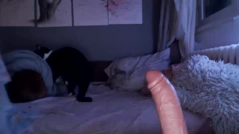 Snapshot of sexyella25 chatting on 21, 2, 2025 .... ............ Onlyfans online show from 21, 2, 2025