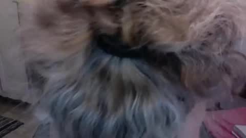 SexyFit58 online show from 15, 12, 2024