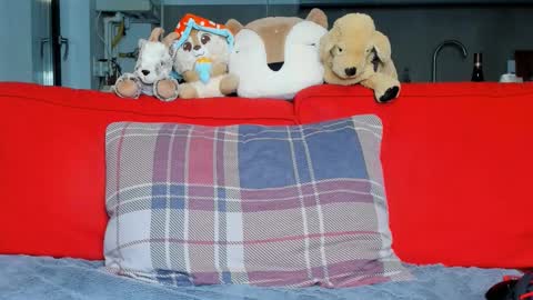 Ari online show from 5, 10, 2025