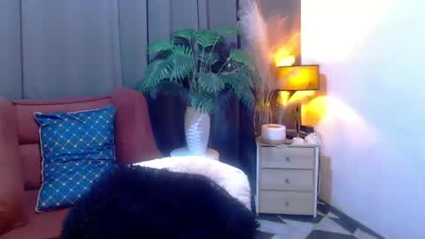 JENNY online show from 7, 7, 2026