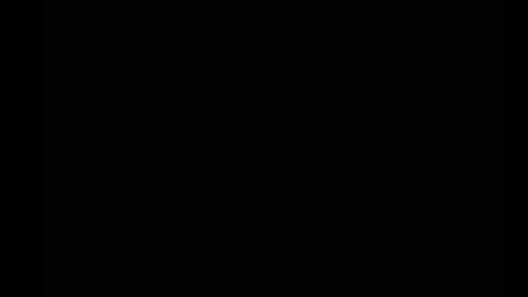 In the night in South America online show from 25, 2, 2025