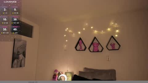   online show from 28, 12, 2024