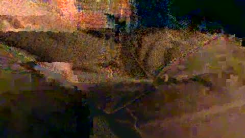 shapelyhelm1 online show from 14, 2, 2025