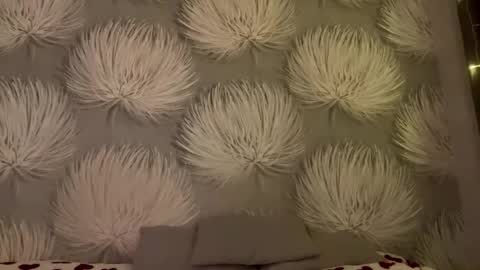 Alica online show from 11, 1, 2026