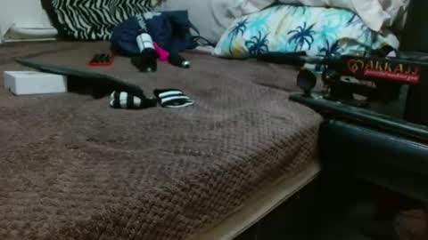 sharlot03 online show from 12, 2, 2025