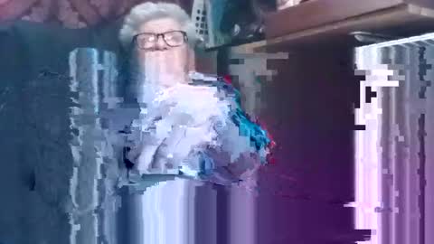 Shamroc online show from 7, 12, 2024