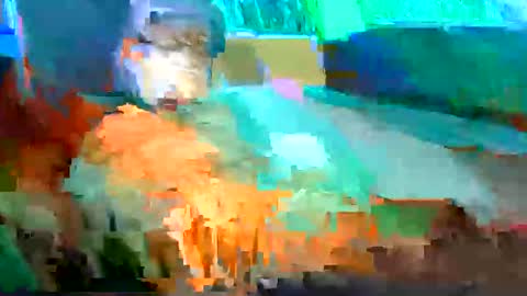 Shamroc online show from 11, 5, 2026