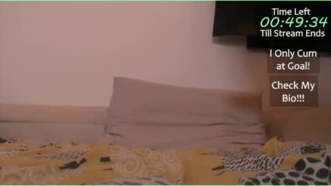 Sheepishly Abbie online show from 13, 4, 2026