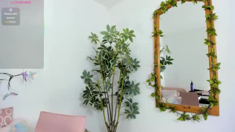 Shego  online show from 26, 11, 2025