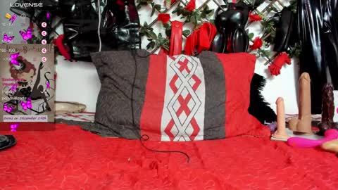 Snapshot of shengyi_blue chatting on 17, 12, 2024  anyela7773 online show from 17, 12, 2024