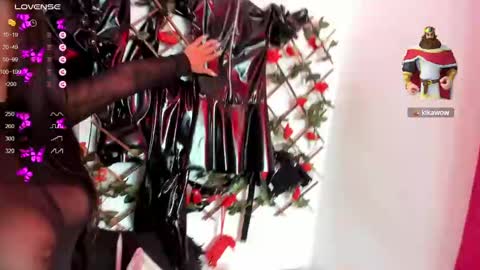 Snapshot of shengyi_blue chatting on 13, 1, 2025  anyela7773 online show from 13, 1, 2025