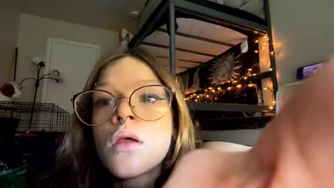 shivvedcl1tt online show from 17, 4, 2026