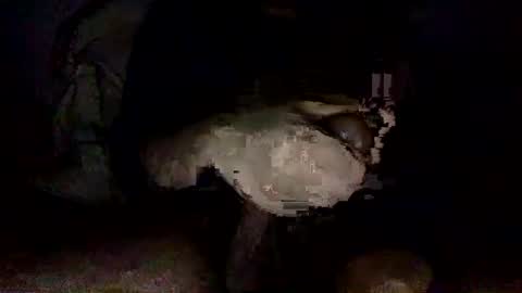 Snapshot of shoot3s__ chatting on 14, 12, 2024 shoot3s__ online show from 14, 12, 2024